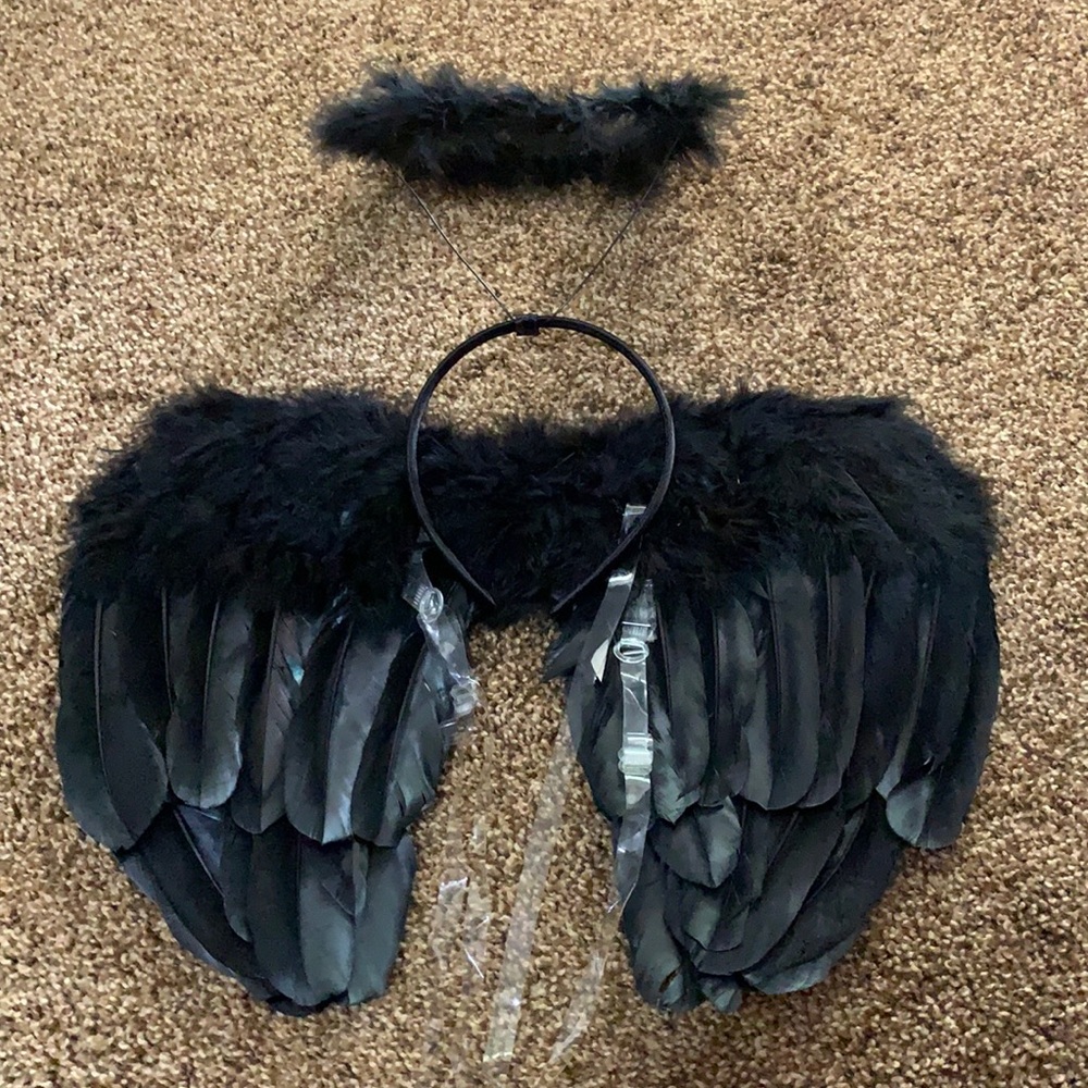 Dark Angel Wings and Halo